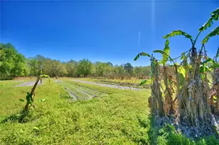 2039 Ranchland Dr, Lakeland, FL 33809 - Photo 48