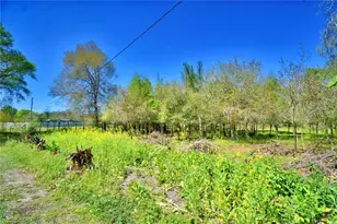 2039 Ranchland Dr, Lakeland, FL 33809 - Photo 60