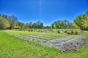 2039 Ranchland Dr, Lakeland, FL 33809 - Photo 74
