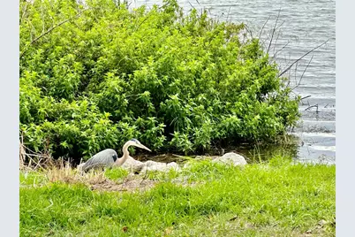 302 Luna Road, Auburndale, FL 33823 - Photo 44