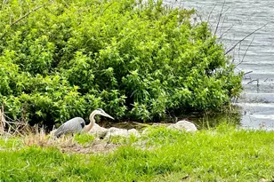 302 Luna Rd, Auburndale, FL 33823 - Photo 44