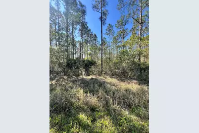 Althea Drive, Indian Lake Estates, FL 33855 - Photo 1