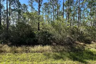 Althea Dr, Indian Lake Estates, FL 33855 - Photo 1
