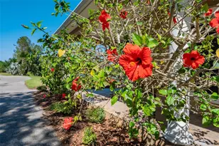 701 E 60 Hwy, Plant City, FL 33567 - Photo 12