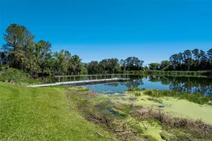 701 E 60 Hwy, Plant City, FL 33567 - Photo 72