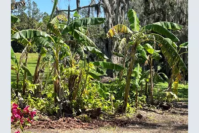 701 E 60 Highway, Plant City, FL 33567 - Photo 86