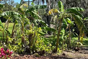 701 E 60 Hwy, Plant City, FL 33567 - Photo 86