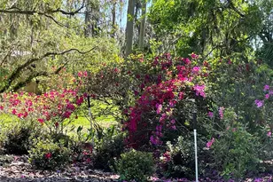 701 E 60 Hwy, Plant City, FL 33567 - Photo 78