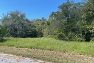 Kissimmee Way, Kissimmee, FL 34759 - Photo 1