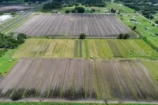 4708 James L Redman Pkwy, Plant City, FL 33567 - Photo 22