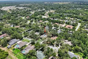 6007 Hammock Hill Ave, Lithia, FL 33547 - Photo 82