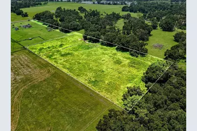 39410 Sparkman Road, Dade City, FL 33525 - Photo 10