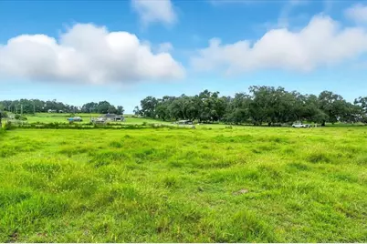 39410 Sparkman Road, Dade City, FL 33525 - Photo 6