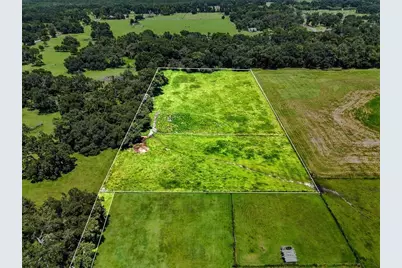 39410 Sparkman Road, Dade City, FL 33525 - Photo 16