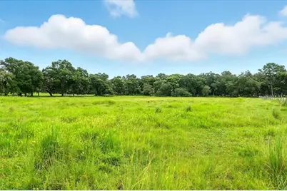 39410 Sparkman Road, Dade City, FL 33525 - Photo 6