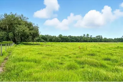 39410 Sparkman Road, Dade City, FL 33525 - Photo 4