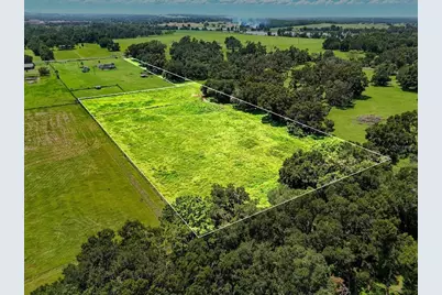 39410 Sparkman Road, Dade City, FL 33525 - Photo 8