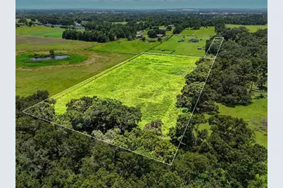 39410 Sparkman Road, Dade City, FL 33525 - Photo 12