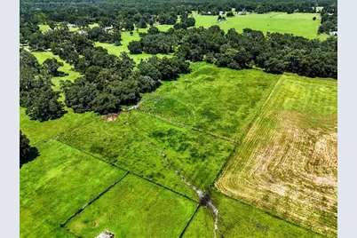 39410 Sparkman Road, Dade City, FL 33525 - Photo 18