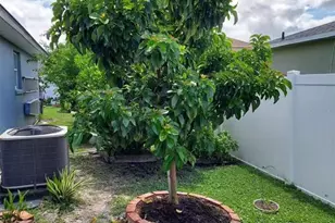 455 Eagle Dr, Kissimmee, FL 34759 - Photo 36