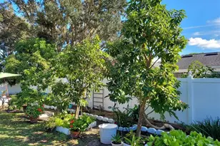 455 Eagle Dr, Kissimmee, FL 34759 - Photo 32