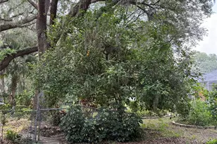 6116 Sweet Gum Run, Bartow, FL 33830 - Photo 4