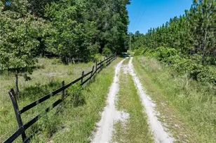 801 SW Daisy Rd, Lake City, FL 32024 - Photo 50