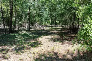 801 SW Daisy Rd, Lake City, FL 32024 - Photo 48
