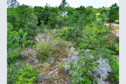 0 Allison Avenue, Lake Wales, FL 33859 - Photo 10