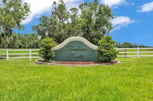 1044 Timbers Dr, Fort Meade, FL 33841 - Photo 40