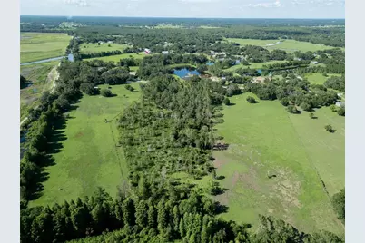 912 Giant Oak Road, Lakeland, FL 33810 - Photo 12