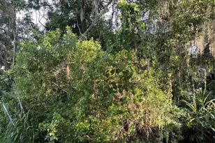 2708 Dixie Rd, Lakeland, FL 33801 - Photo 34