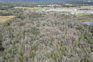 38238 Higginson Rd, Zephyrhills, FL 33540 - Photo 1