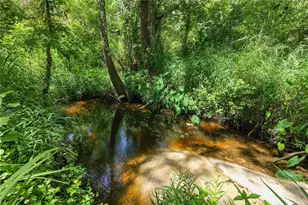 6325 Oakview Ln, Lakeland, FL 33811 - Photo 60