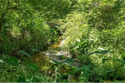 6325 Oakview Lane, Lakeland, FL 33811 - Photo 62