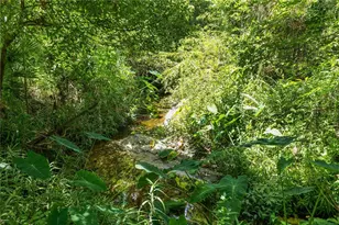 6325 Oakview Ln, Lakeland, FL 33811 - Photo 62