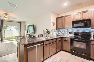 32668 Abby Lax Ln, Wesley Chapel, FL 33543 - Photo 8