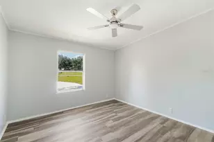 29417 Kelly Dr, Wesley Chapel, FL 33544 - Photo 22