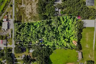 Fish Hatchery Rd, Lakeland, FL 33801 - Photo 4