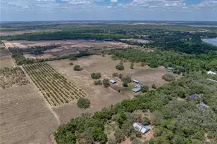 10790 Jim Edwards Rd, Haines City, FL 33844 - Photo 6