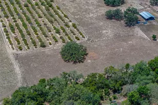 10790 Jim Edwards Rd, Haines City, FL 33844 - Photo 8