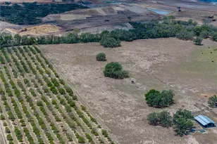 10790 Jim Edwards Rd, Haines City, FL 33844 - Photo 10