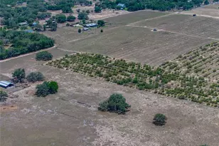 10790 Jim Edwards Rd, Haines City, FL 33844 - Photo 24