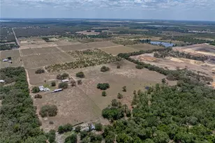 10790 Jim Edwards Rd, Haines City, FL 33844 - Photo 20