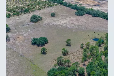 10790 Jim Edwards Road, Haines City, FL 33844 - Photo 16