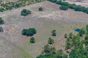 10790 Jim Edwards Rd, Haines City, FL 33844 - Photo 16