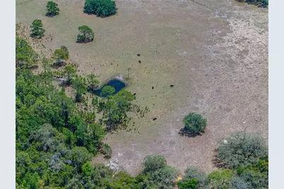 10790 Jim Edwards Road, Haines City, FL 33844 - Photo 28