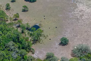 10790 Jim Edwards Rd, Haines City, FL 33844 - Photo 28