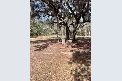 8077 Lake Hatchineha Road, Haines City, FL 33844 - Photo 34