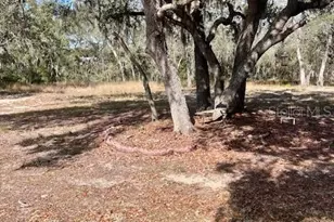 8077 Lake Hatchineha Rd, Haines City, FL 33844 - Photo 34
